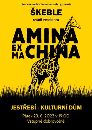 Amina ex Machina